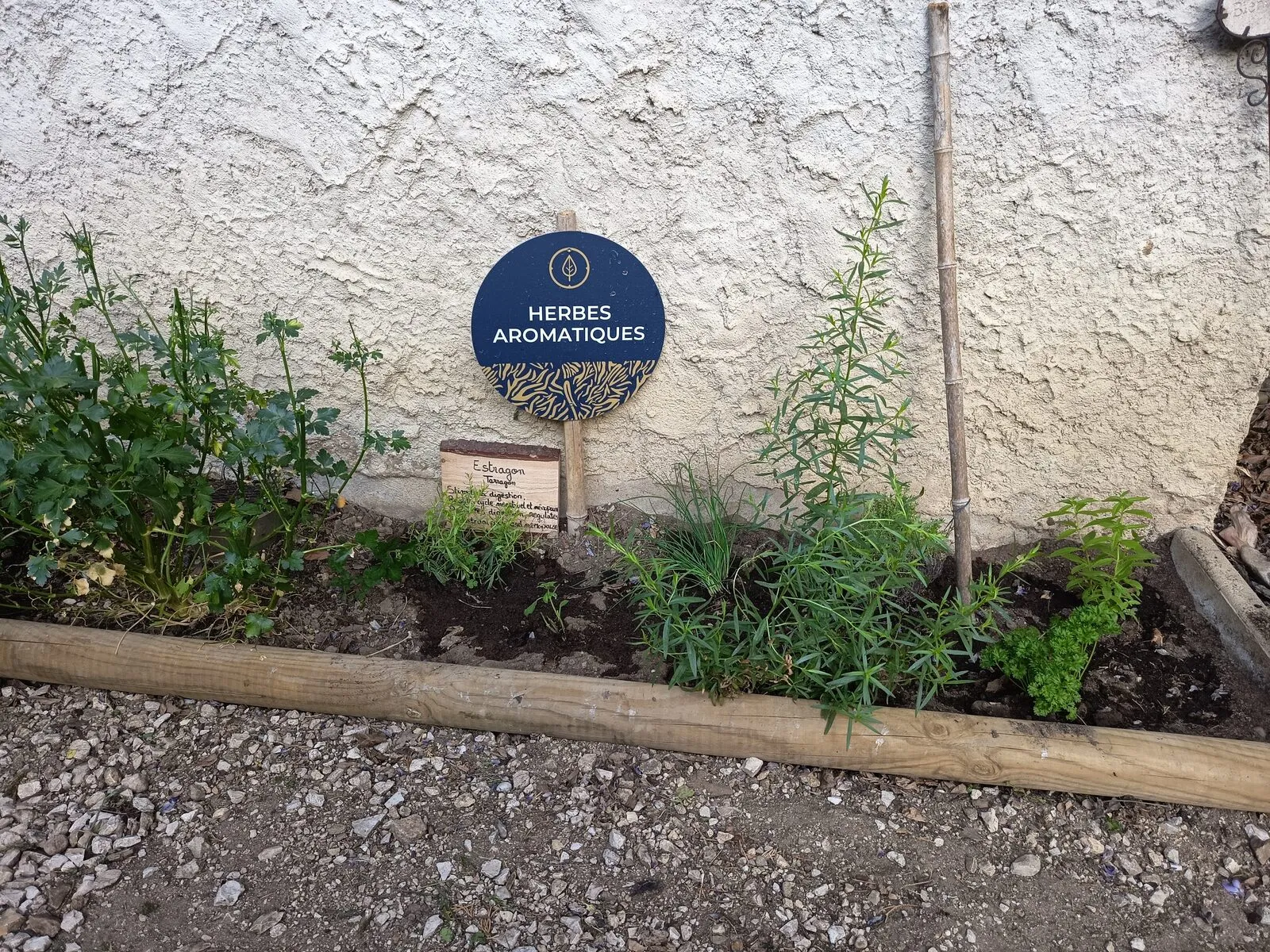 Das Kräuterbeet am Fuß einer Mauer, mit seinem Schild und dem Etikett des Estragons