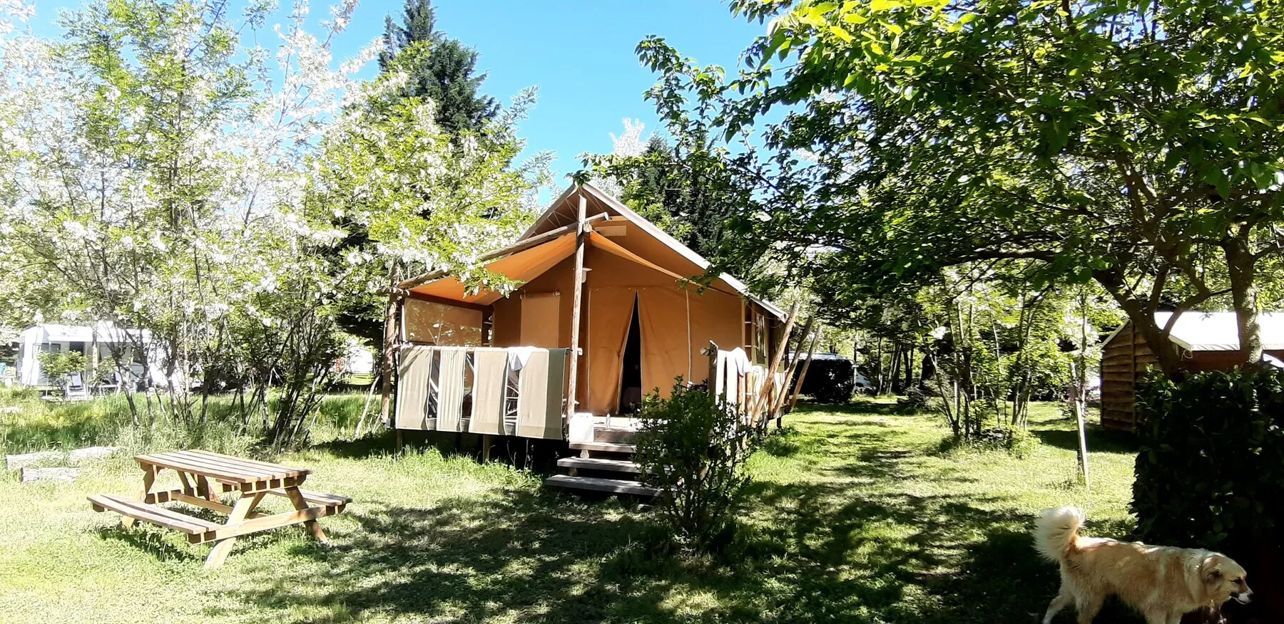 Die Jungle Lodge von der Wiese aus gesehen